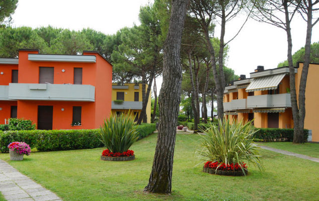 White Star - Photo 2