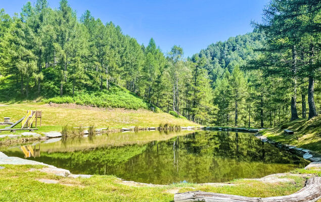 Baita Ginestra - Photo 30