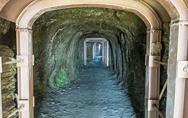 Baita Ginestra - Photo 37